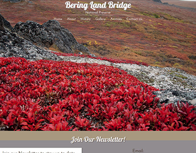 Bering Land Bridge National Reserve - Web Design