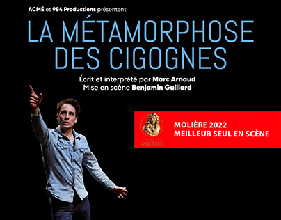 Poster La Metamorphose des cigognes