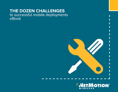 NetMotion Wireless "Dozen Challenges" eBook