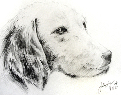 "Under Ten Minutes" Fast Sketch of Another Dog, Take 2