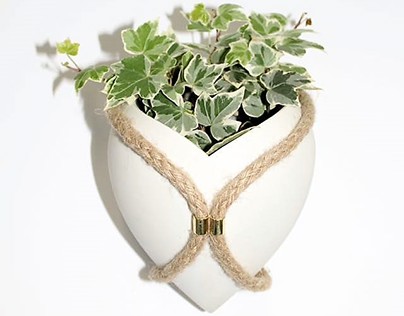 Ceramic plant vessels with rope and brass