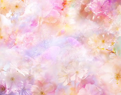 Floral dreamscapes - Ohanami I