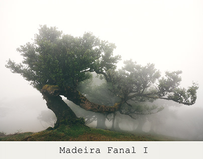 Madeira Fanal I