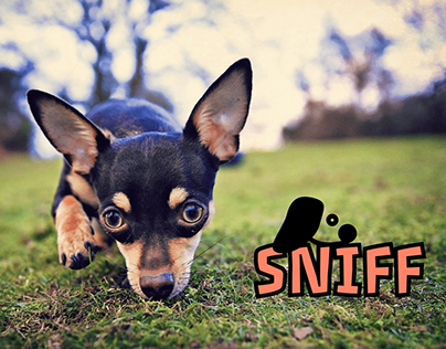 SNIFF - UX UI design | pets app
