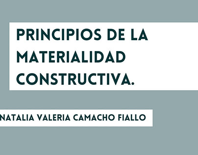 PRINCIPIOS DE LA MATERIALIDAD CONSTRUCTIVA