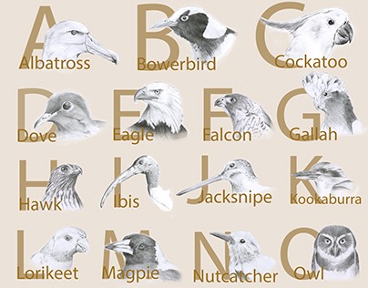 An Illustrated A-Z of International Bird Species