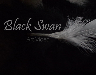 Black Swan Art Film Project