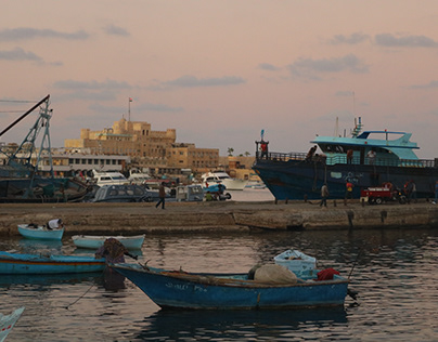 Alexandria photography