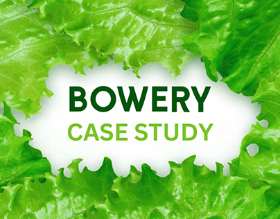 Bowery Case Study