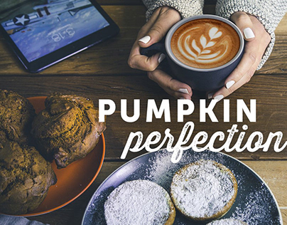 Pumpkin Perfection | Specialty's Café & Bakery