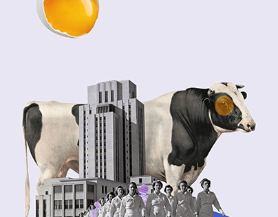 COW IN THE CITY