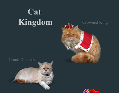 Cat kingdom