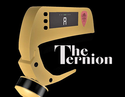 The Ternion (3D Product Modelling)