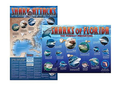 SHARK ATTACKS OF THE ATLANTIC AND EASTERN GULF OF MEXIC