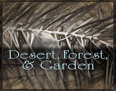 Desert, Forest, & Garden
