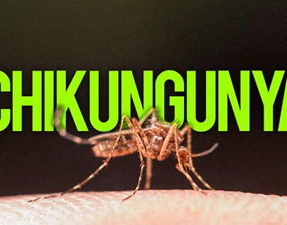Chikungunya
