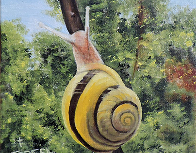 Snail #2: Left Hanging
