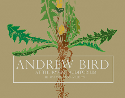 Andrew Bird Poster