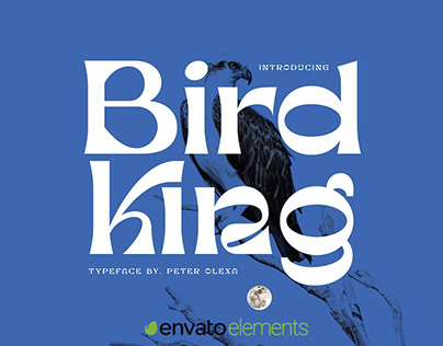 Bird King - Retro Serif Font