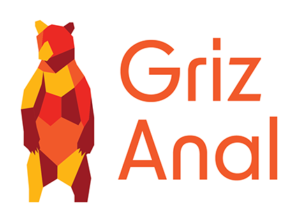 Griz Analytica Logo Design
