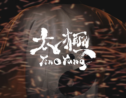 Yin Yang Crowd Funding Video