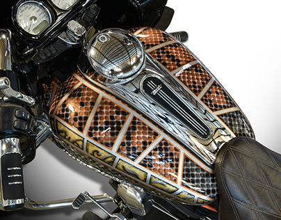 Snakeskin Finish
Road Glide Special 2015