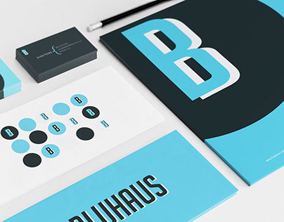 Bluhaus. Design firm identity