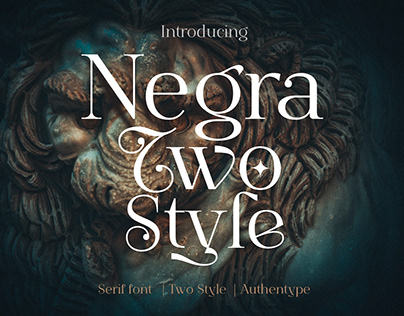 Negra – Two Style font with multi shapes and lines.