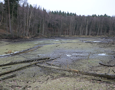 Drained water from a water reservoir in the forest