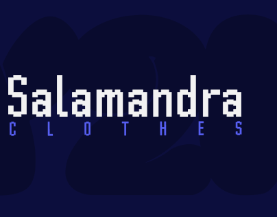 Y2K x Salamandra Clothes