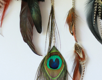 Feathers for Tansy - Photography