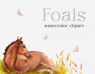 Foals - watercolor clipart