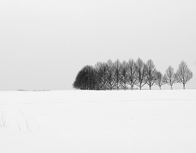 Snow scapes