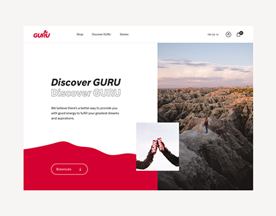 E-commerce website Guru