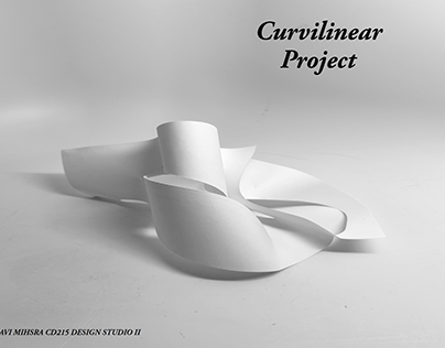 Curvilinear Project