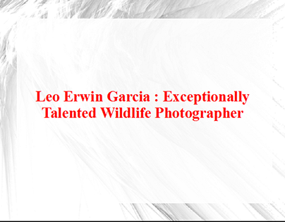 Leo Erwin Garcia - Exceptionally Talented Wildlife Phot