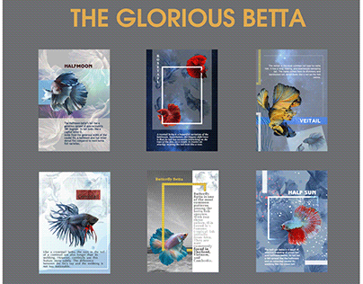 The glorious betta