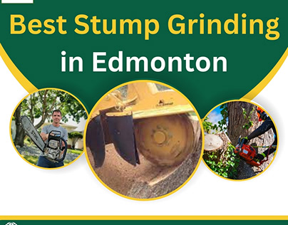 Best Stump Grinding in Edmonton