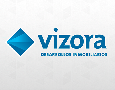 Project - Vizora