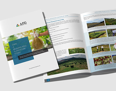 Corporate Identity | Agroforestry Group