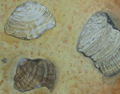 Watercolor Shells - September 2012