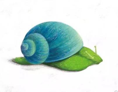 A rejuvenescent snail