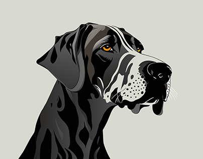 Nine Dogs Illustration Pack | All Vector