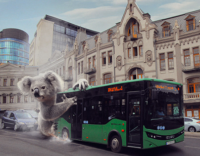 Bus situations can be like a that :) Koala