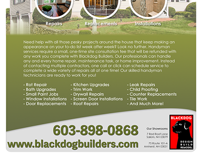 Blackdog - Full One-Page Home Services Brochure Design