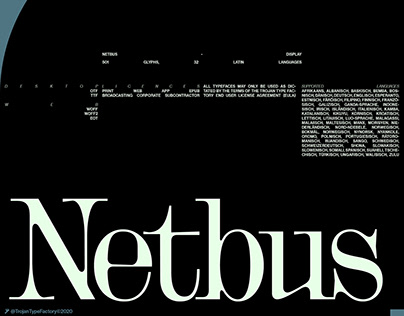 Netbus - Type Design. Available for purchase.