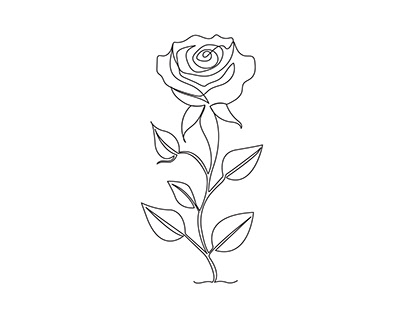 Continuous one line drawing of rose flower illustration