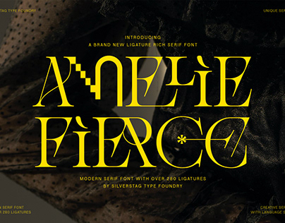 Project thumbnail - Amelie Fierce - Display Serif Font