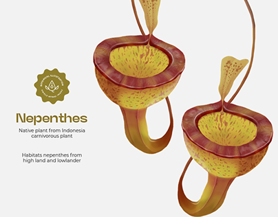 Botanical Illustration | Nepenthes
