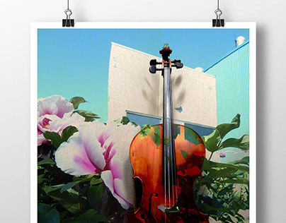 Cello Poster Design